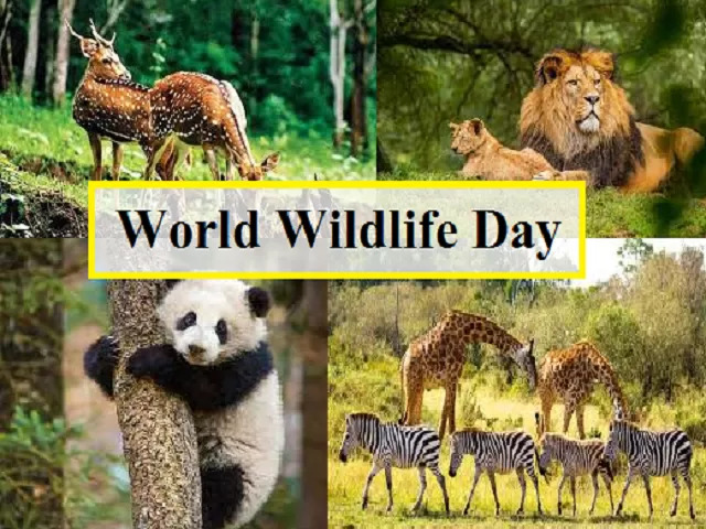 worldwildlife